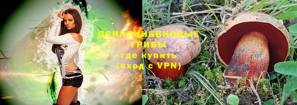 круглые Алексеевка