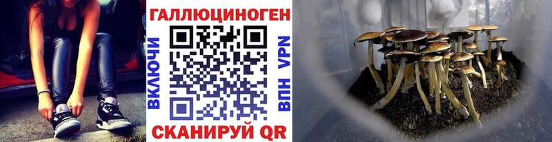 Псилоцибиновые грибы мухоморы  дарк нет телеграм  Тула 